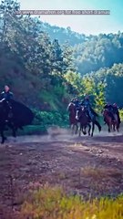 The Valiants Return The Twin Heiress Crisis Full Movie Chinese Drama