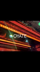 450mm 500w 230v Infrared Heater Lamp Frosted Carbon Fiber Heat Lamps For Paint Drying