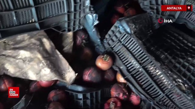 Antalya’da meyve-sebze paketleme fabrikasında yangın: 15 milyon liralık hasar