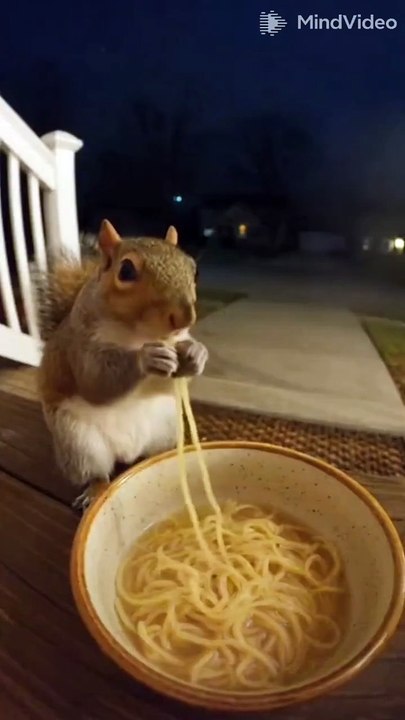 Cute Squirrel Eating Pasta 🍝 | Funny Animal Moment