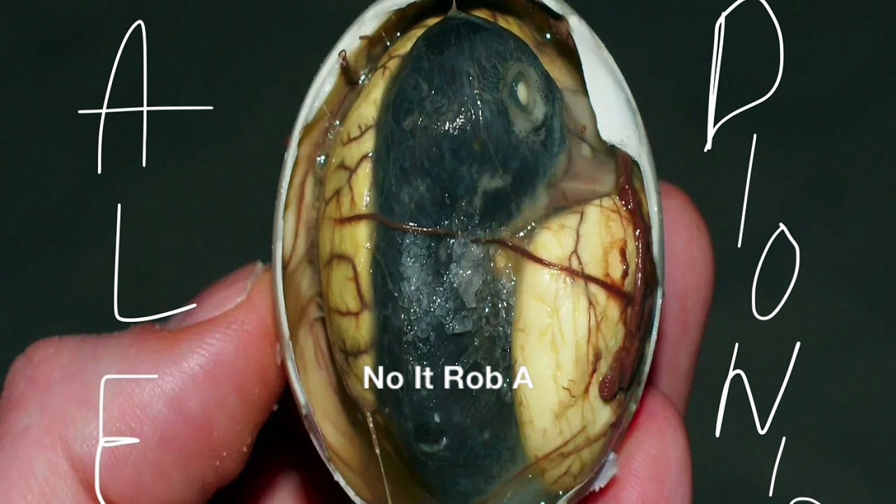 No It Rob A