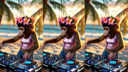 Funny Dancing Cat Nina Bobo - Dancing cat - Cute Cat - Cat Funny - HANA KIDS 01