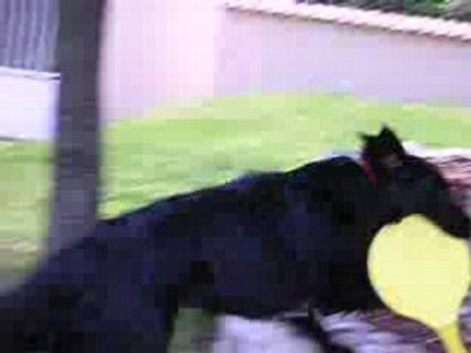 DSCN4865
