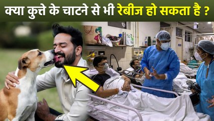Kutte Ke Chatne Se Rabies Hota Hai, कुत्ते के चाटने से कौन सी बीमारी होती है, Symptoms...