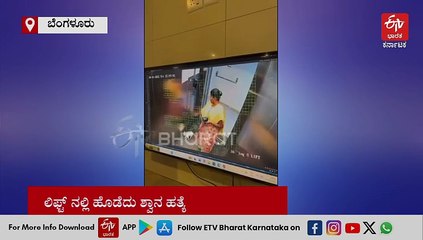 ಮನೆ ಮಾಲೀಕರ ಶ್ವಾನವನ್ನು ನೆಲಕ್ಕೆ ಬಡಿದು ಹತ್ಯೆ: ಬೆಂಗಳೂರಲ್ಲಿ ಕೆಲಸದಾಕೆಯಿಂದ ಅಮಾನವೀಯ ಕೃತ್ಯ