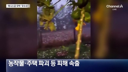 남미·호주에 테니스공 크기 우박 ‘우수수’