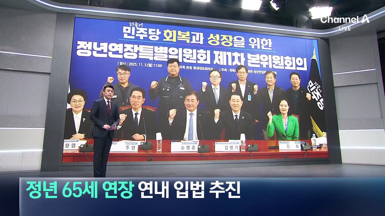 민주당, 정년 65세 연장 연내 입법 추진