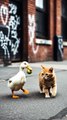 a disabled duckling helps his cat friend #cat #catvideos #shorts #duckling