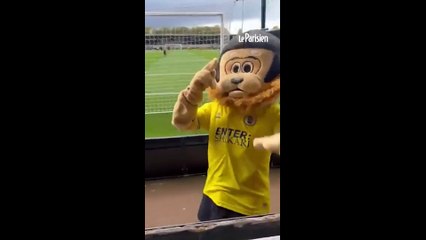 Alcoolisée, une mascotte se fait renvoyer d'un stade de foot anglais