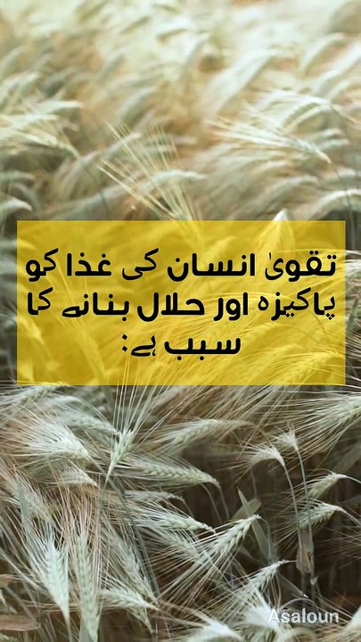 تقوی
