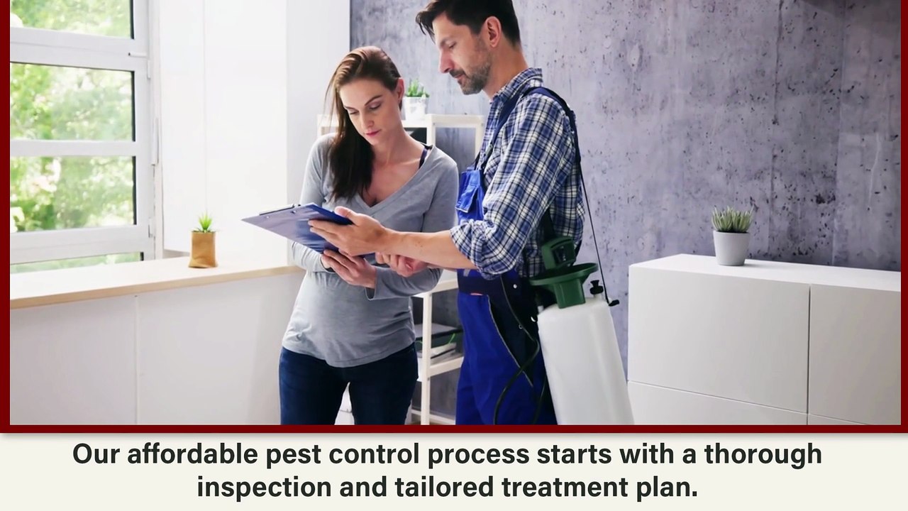 Mosquito Control Fayetteville AR