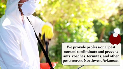 Pest Control Fayetteville AR