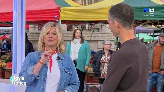 L'animatrice Flavie Flament a ressuscité Le Schmilblic , jeu télé de la fin des années 1960, ce matin dans le cadre de sa nouvelle émission sur France 3, Flavie en France - VIDEO