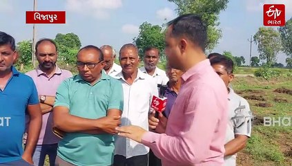 માવઠાથી મોટું નુકશાન: વિજાપુર પંથકમાં મગફળીનો 80% પાક બગડ્યો, ખેડૂતોને તાત્કાલિક વળતરની માંગ