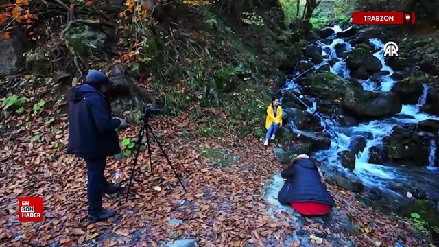 Trabzon'da Dağların eteğindeki Hamsiköy oyuk ağaçlarıyla fotoğraf tutkunlarına alternatif sunuyor