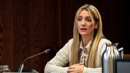 Claudia Montes comparece en la comisión del 'Caso Koldo':  "La empresa dijo era apta para el puesto”