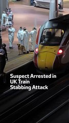Suspect Arrested in UK Train Stabbing Attack