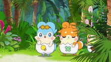 Kamisama Minarai- Himi no Cocotama - Ep136  HD