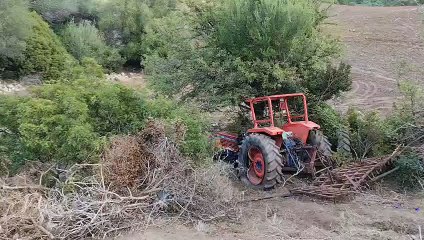 Tragedia nel Sassarese, muore allevatore di 51 anni: le immagini dell'incidente