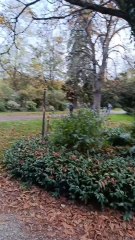 Garden of Toulouse Best Scene