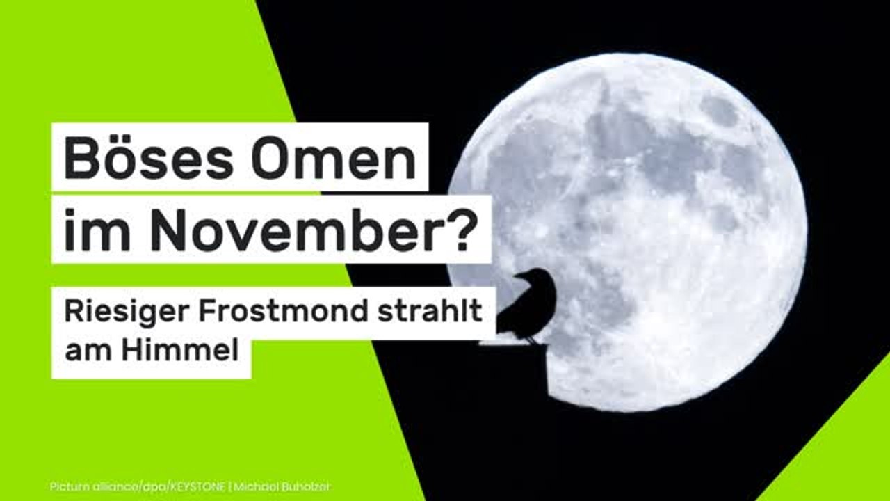 Vollmond am 05.11.2025: Böses Omen im November? Riesiger Frostmond strahlt am Himmel