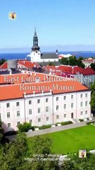 La Sustituta Del Jefe De La Mafia Completo