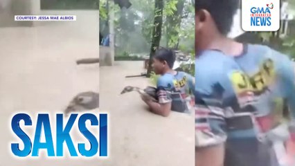 Mga alagang hayop, iniligtas sa gitna ng Bagyong Tino | Saksi