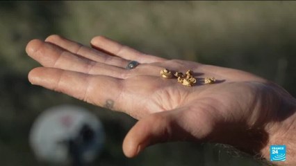 États-Unis : en Californie, la nouvelle ruée vers l'or