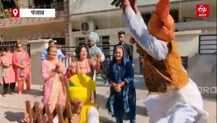 कारपेंटर की बेटी ने लिया कमाल का कैच, बुलेट की रफ्तार से वर्ल्ड कप में उड़ाई गिल्ली, अमनजोत कौर के घर जमकर हुआ भांगड़ा