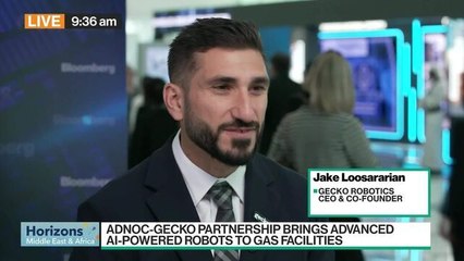 Loosararian: Upskilling UAE's Energy Sector with AI