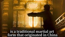 Chinese Kungfu 17