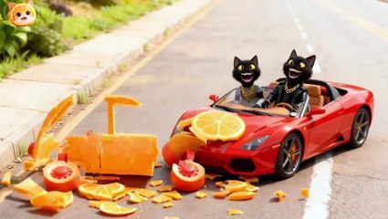 They Lost the Race… Then Sold Oranges Until They Bought a Supercar! 🍊💰🏎️#cat #catsinger_2