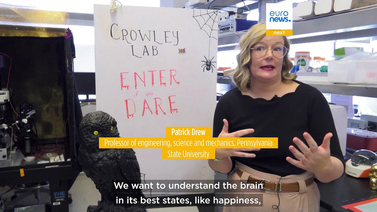 Neuroscientists are trying to find out what happens to our brains when we dream or have nightmares