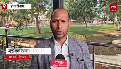 ये है हजारीबाग का अनोखा काउ हॉस्टल! जानें, इस आश्रय स्थल की पूरी कहानी