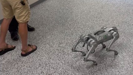 'This Thing is Pretty Cool!' - Innovative robot dog leaves a strong impression on man