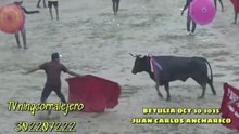Corralejas Betulia 2025 | Toros de Juan Carlos Anicharico