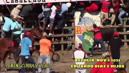 Corralejas Betulia 2025 | Toros de Eduardo Diaz