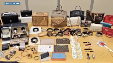 Segnalazione social incastra l'auto dei furti: presi due albanesi per 13 colpi in casa (03.11.25)