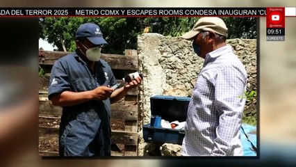 Se reportan 93 nuevos casos de animales afectados por el gusano barrenador en Yucatán