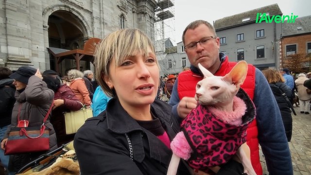 Compagnons à quatre pattes et fidèles se sont réunis pour célébrer la Saint-Hubert