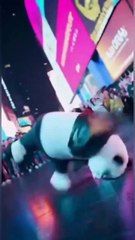 Animals Meet Ice Cubes and Cold Treats for the First Time!