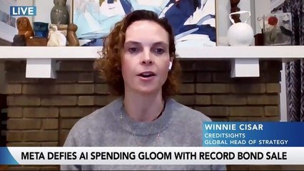 Seeing Shift Back to Debt-Financed Investment: Cisar