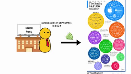 Mutual Funds vs Index Funds vs ETFs vs Hedge Funds Explained #finance