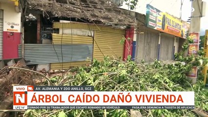 ÁRBOL CAÍDO DAÑÓ VIVIENDA
