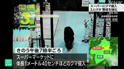 Japão mobiliza Exército para conter onda de ataques de ursos