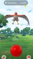 a wild talonflame randomly popped up on Pokemon go