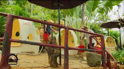 Asia Express sezonul 8, epi 28 din 22 octombrie 2025 . Part 2