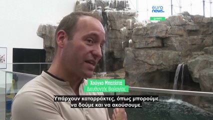 Οι πιγκουίνοι του Μαγγελάνου επιστρέφουν στο Ενυδρείο της Λισαβόνας