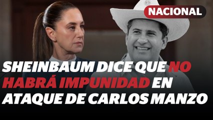 Sheinbaum condena ataque de Carlos Manzo; rechaza regreso a la "guerra" | Reporte Indigo