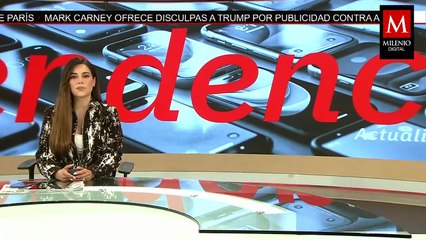 Francia advierte a Shein: prohibirá su mercado si vuelve a vender muñecas sexuales infantiles